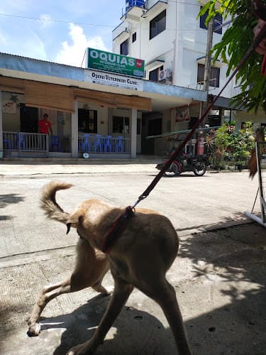 Oquias Veterinary Clinic listing photo