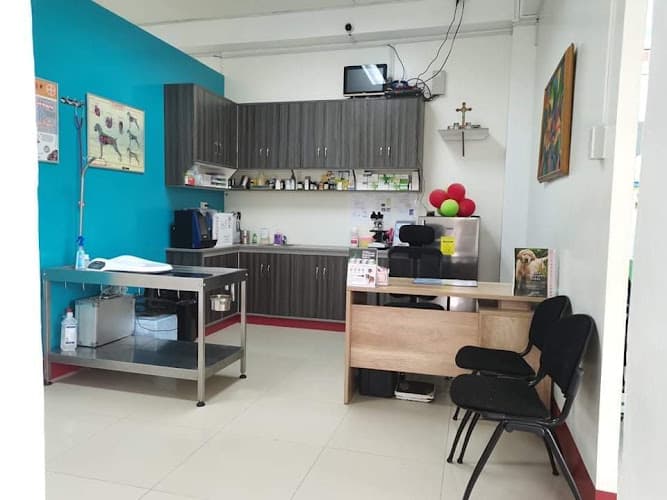 Borongan Animal Clinic listing photo