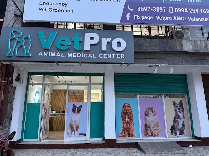 VetPro AMC Valenzuela listing photo