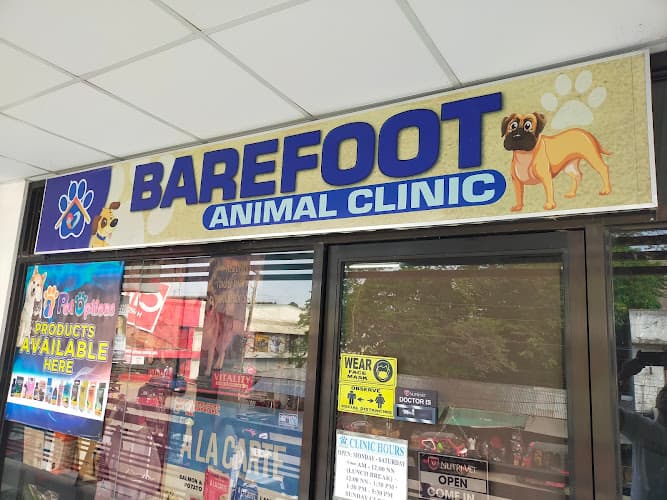 Barefoot Animal Clinic listing photo