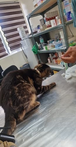 DADS Care Veterinary Clinic and Grooming Center listing photo