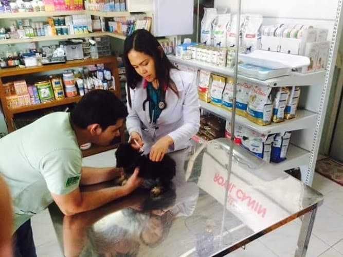 Pet Family Animal Clinic and Grooming Center listing photo