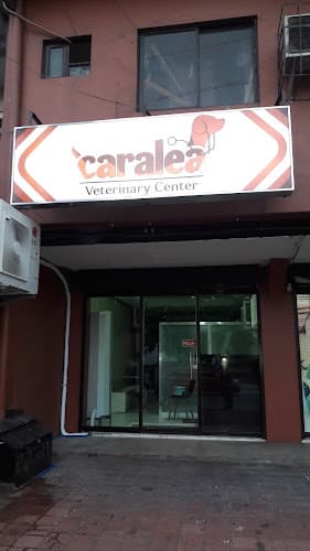 Caralea listing photo