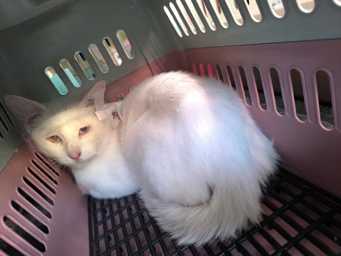 Providence Veterinary Clinic listing photo
