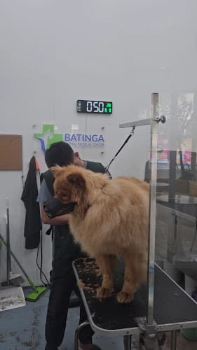 Batinga Animal Medical Center - SM Uptown listing photo