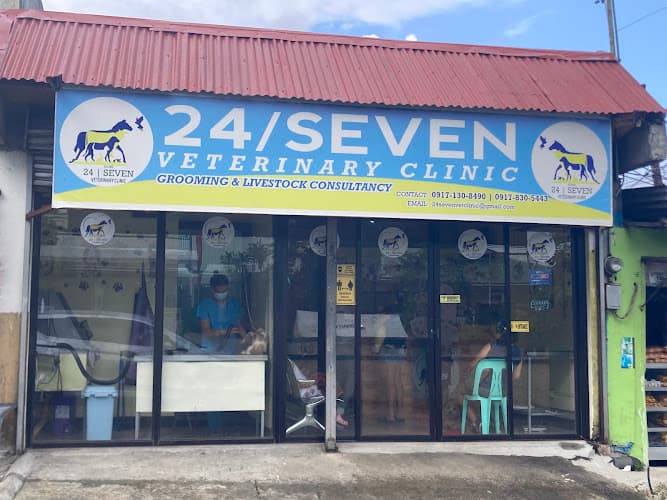 24/Seven Veterinary Clinic - Amadeo Branch listing photo