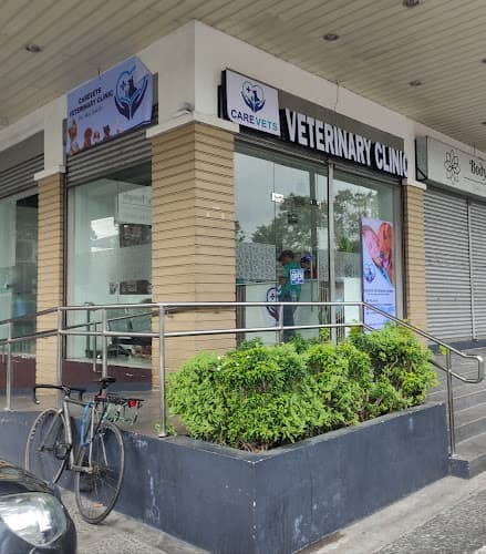 CareVets Veterinary Clinic,Concepcion1 Marikina Branch listing photo