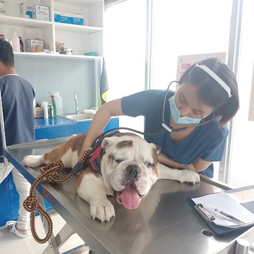 Vet 911 Animal Clinic - Kingspoint listing photo
