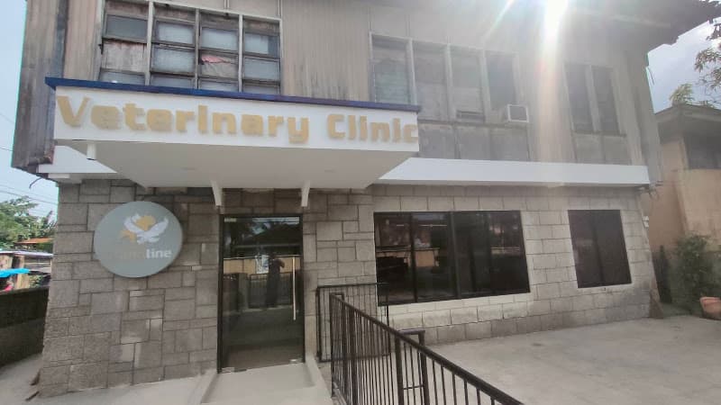 Grandline Veterinary Clinic listing photo