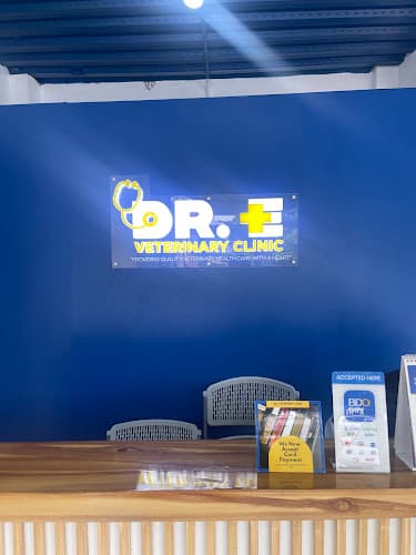Dr. E Veterinary Clinic listing photo